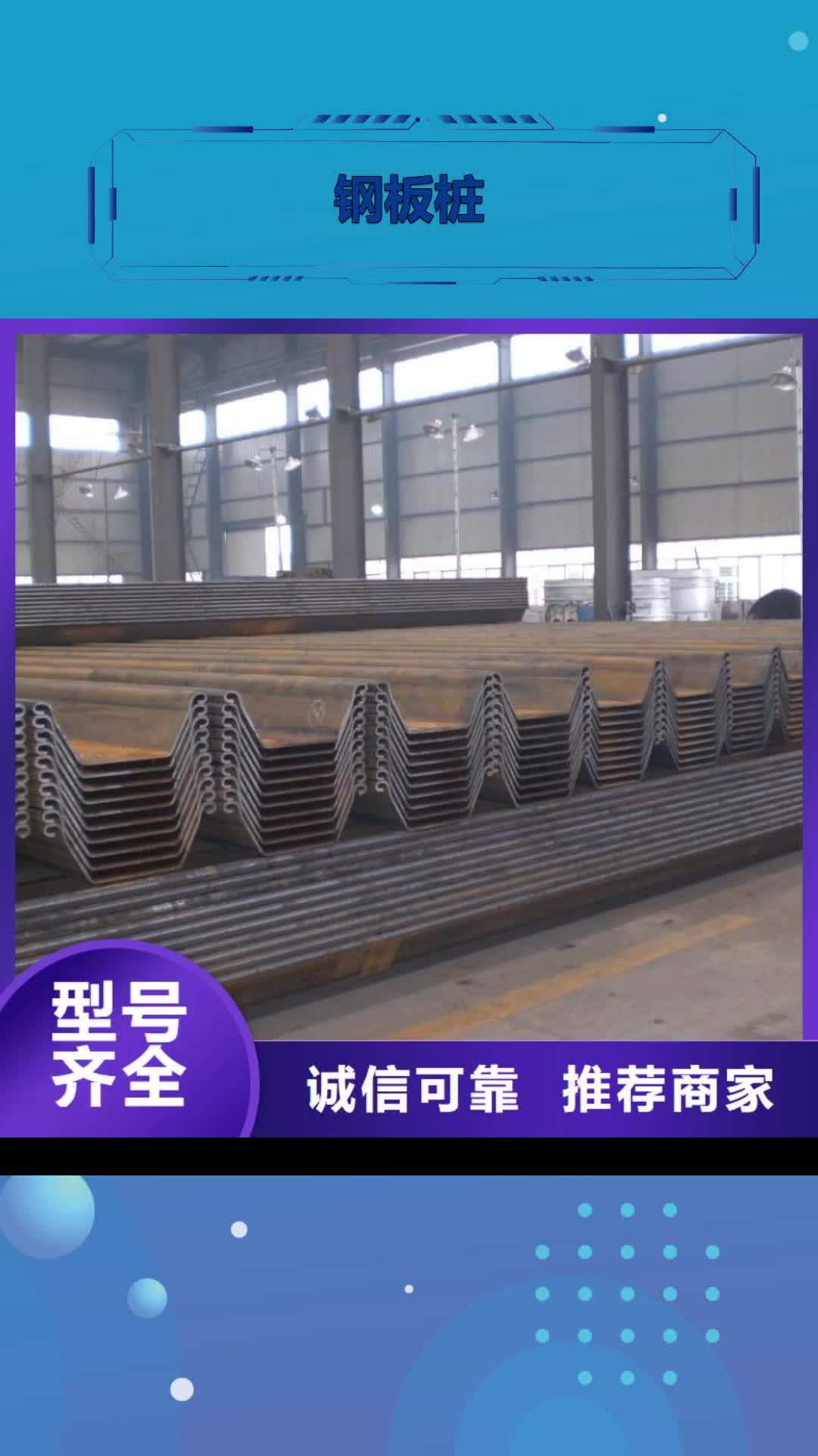 岳阳 钢板桩【镀锌方管厂家】专业供货品质管控