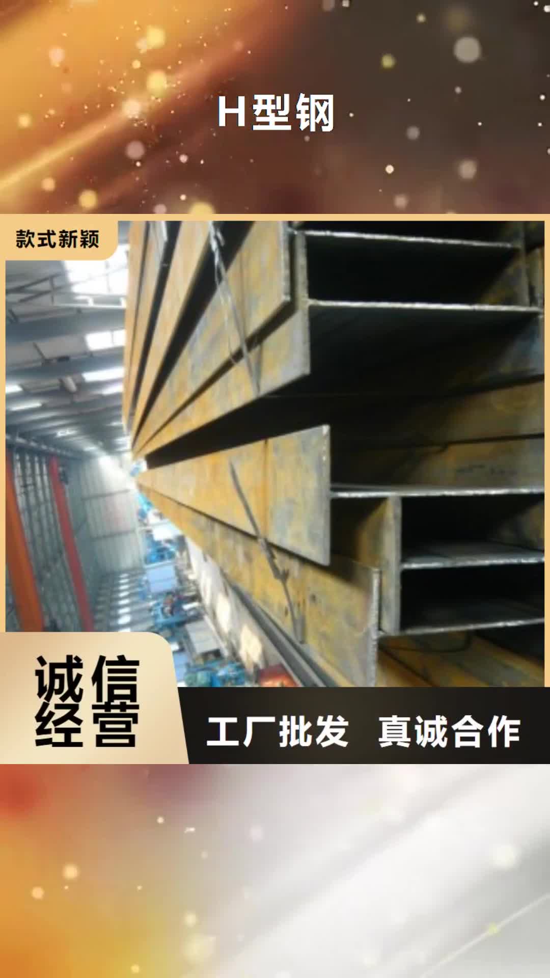 【忻州 H型钢_钢板厂家今日新品】