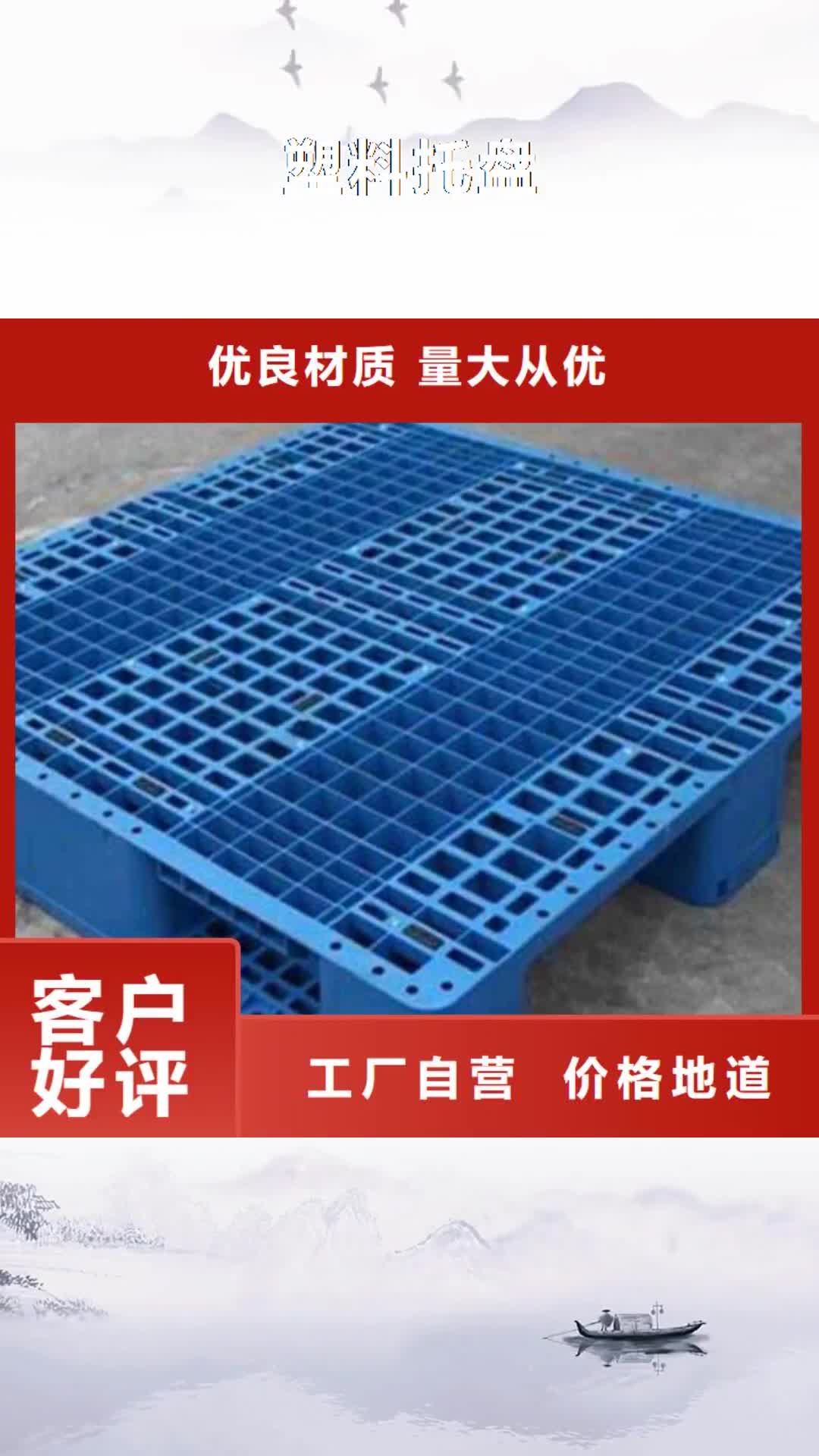 青海【塑料托盘】_塑料托盘工厂支持定制贴心售后