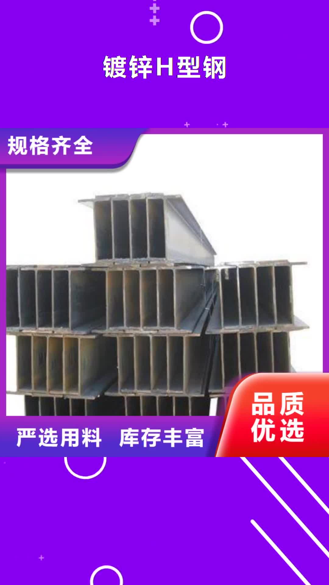 陇南 镀锌H型钢_【H型钢抛丸喷漆】专注生产N年