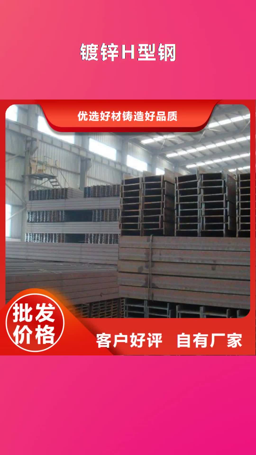 贵阳 镀锌H型钢_【10*30镀锡铜排】选择大厂家省事省心