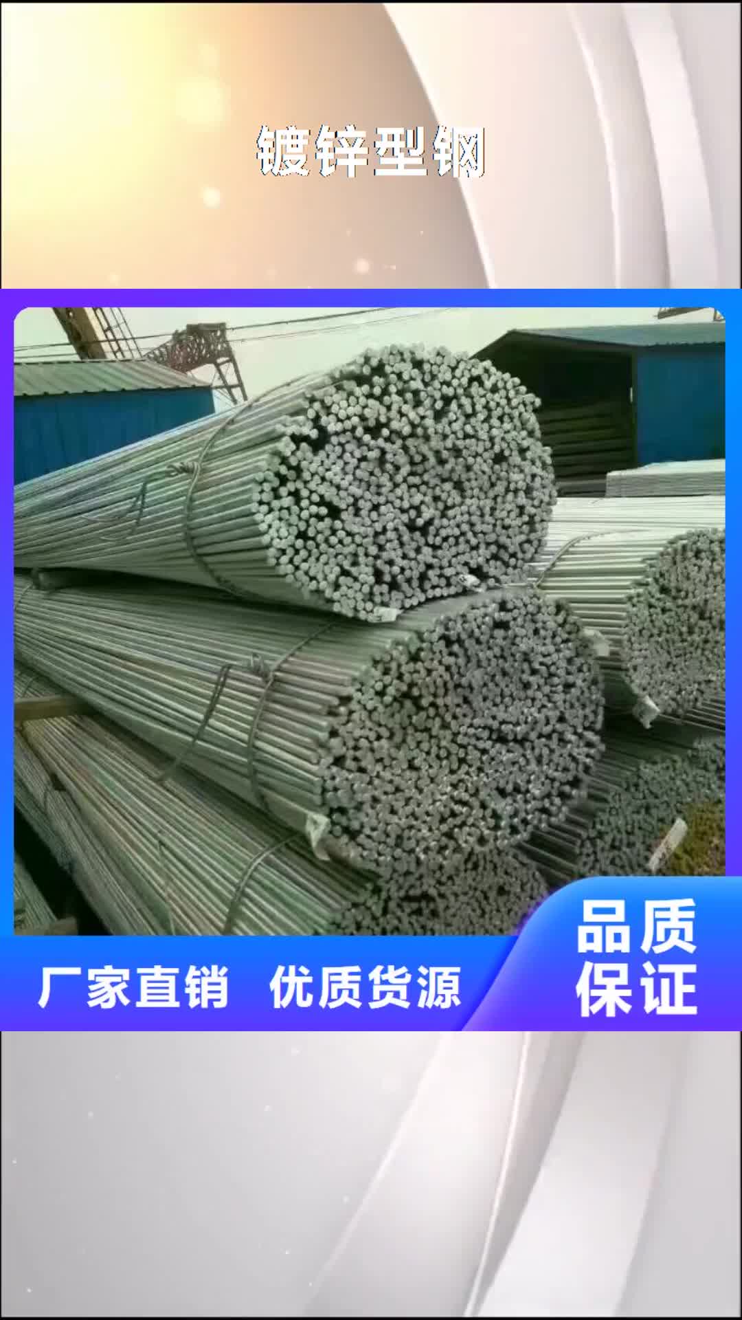 荆州【镀锌型钢】,H型钢抛丸喷漆工艺层层把关