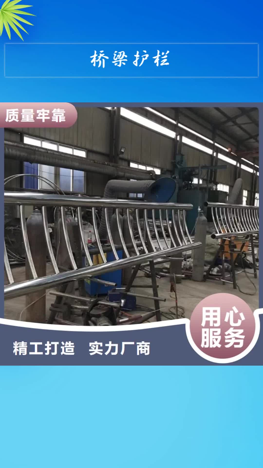 衡阳 桥梁护栏【河道护栏】一站式采购商家