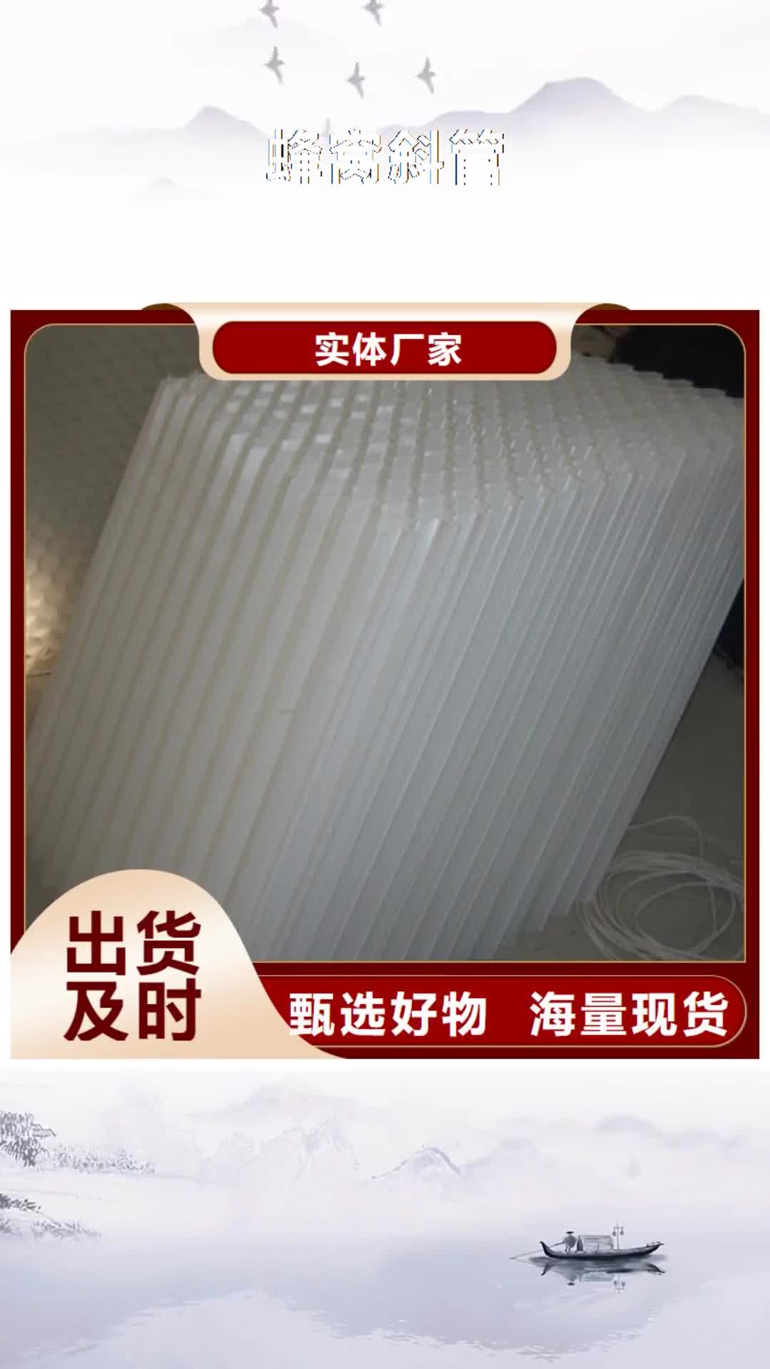 南宁【蜂窝斜管】 沸石品质服务