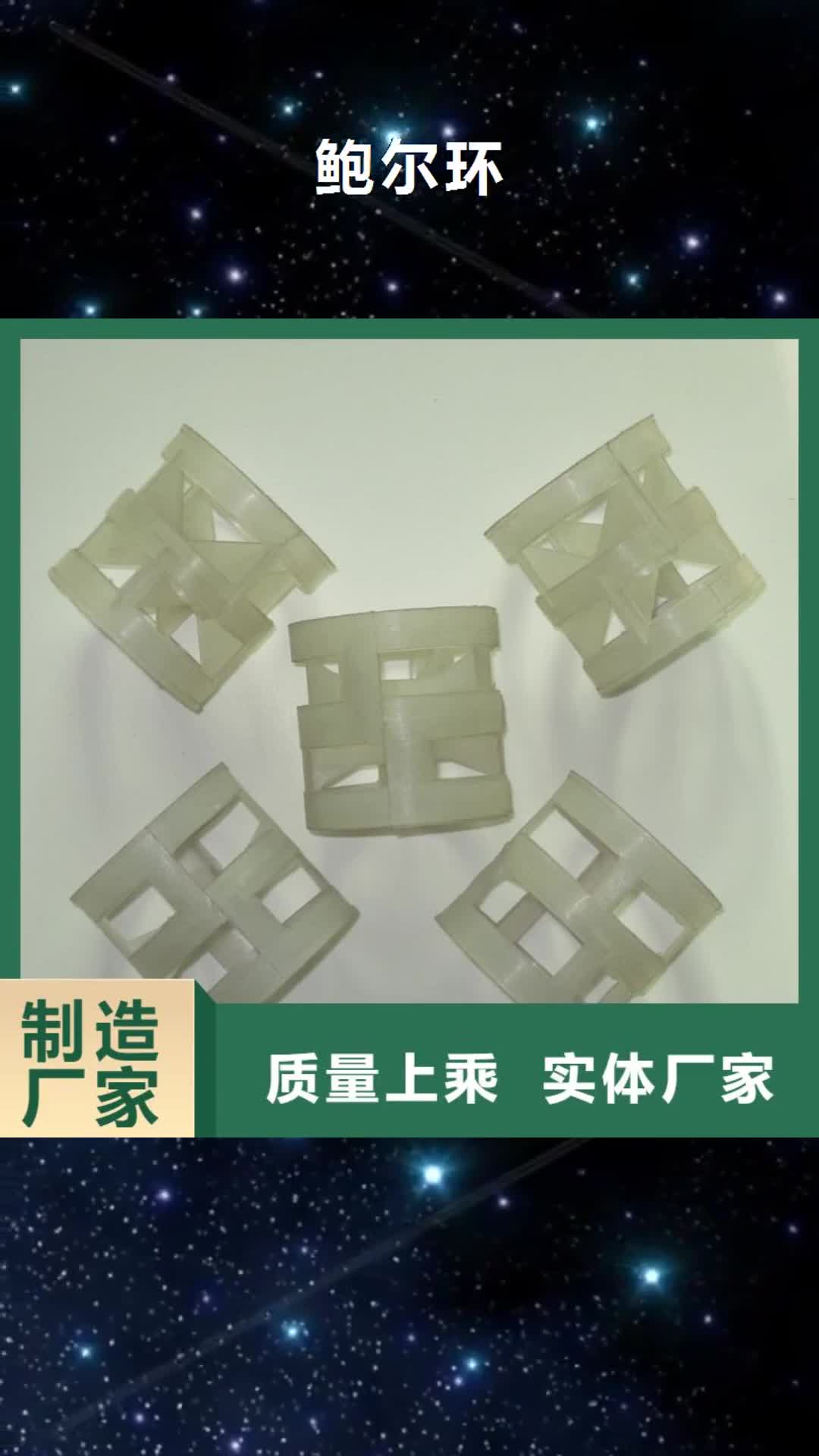 延安【鲍尔环】 沸石快速物流发货