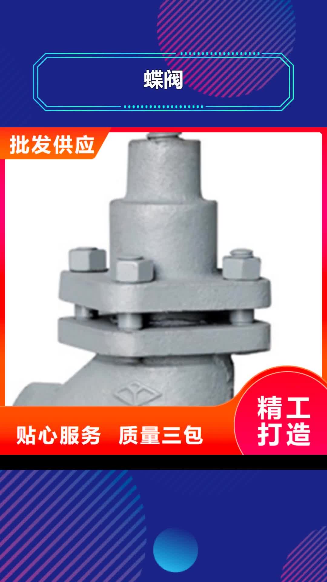 【嘉峪关 蝶阀远大闸阀高品质诚信厂家】