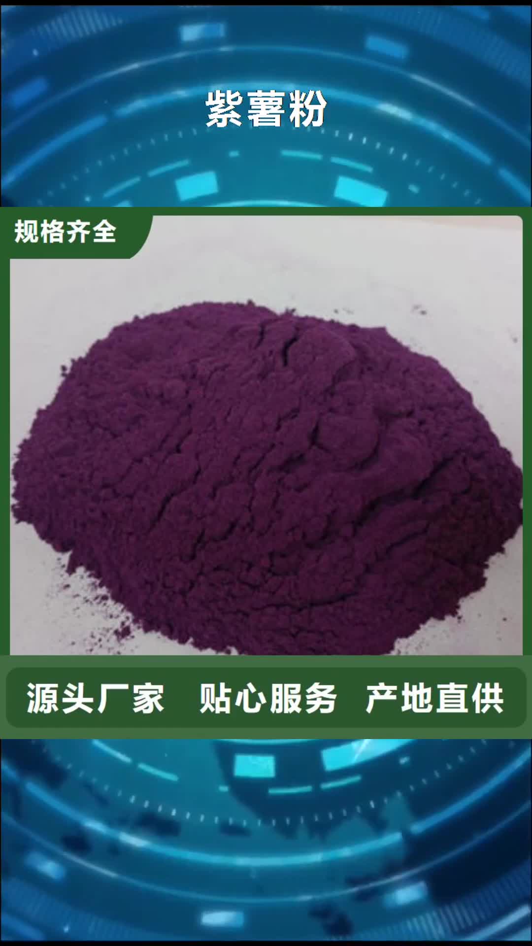 湖北紫薯粉 【南瓜粉】源头工厂量大优惠