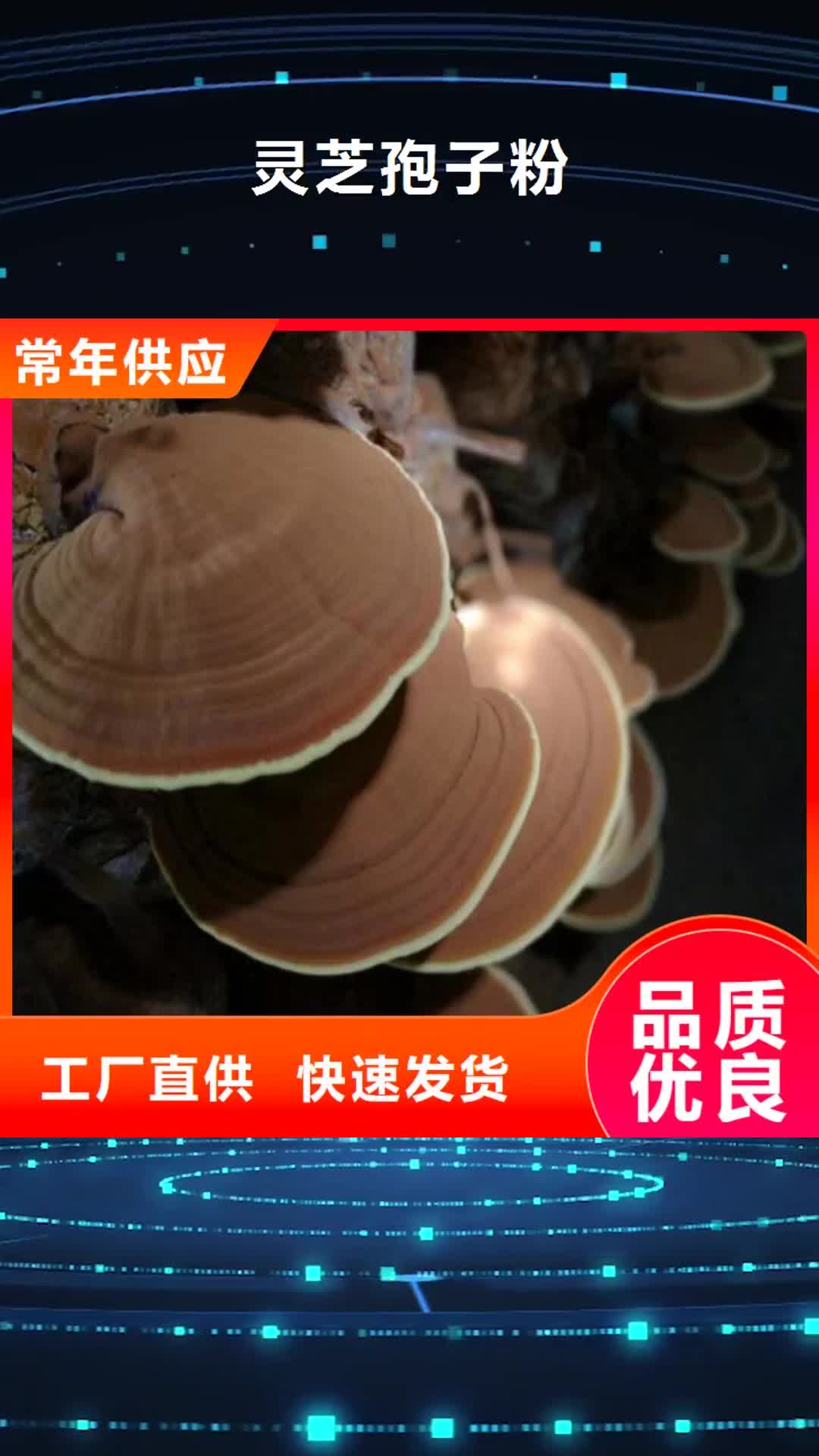 【张掖 灵芝孢子粉_灵芝多年经验值得信赖】