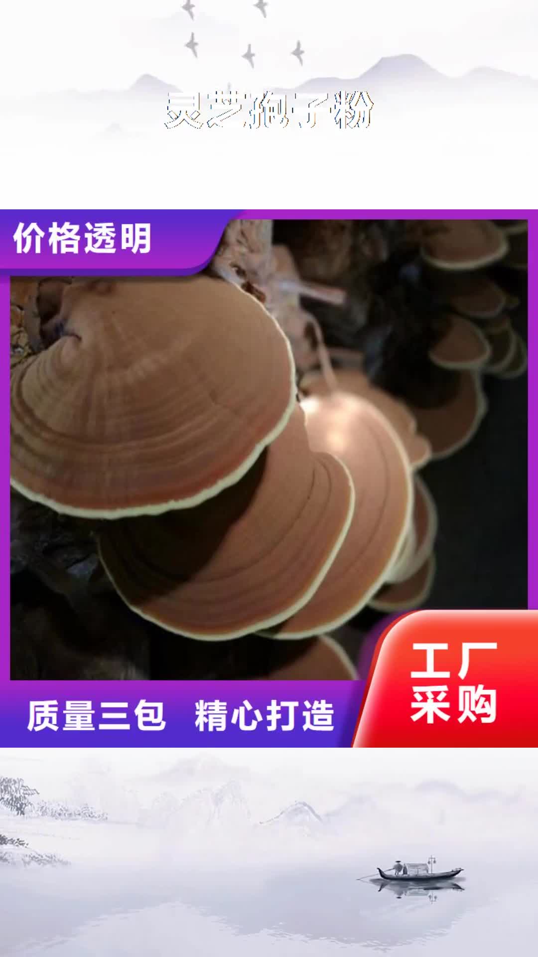 【岳阳 灵芝孢子粉 灵芝菌种满足您多种采购需求】