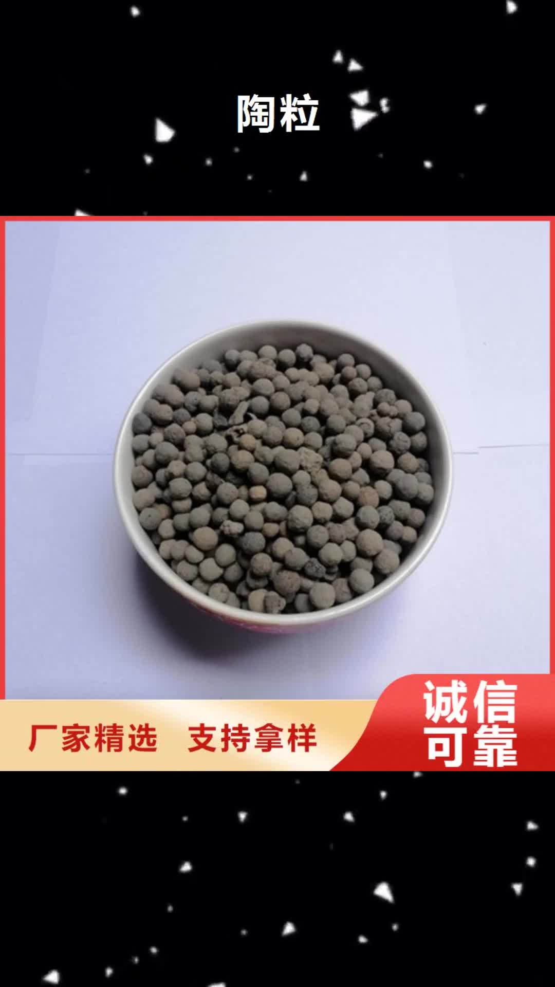 铜陵 陶粒【蜂窝活性炭】供货及时