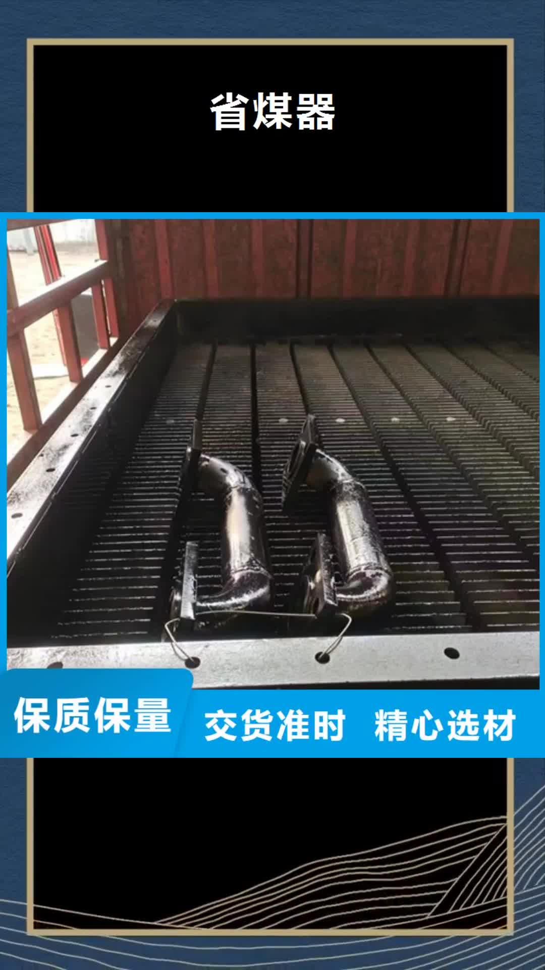 海西 省煤器-【锅炉配件】优势