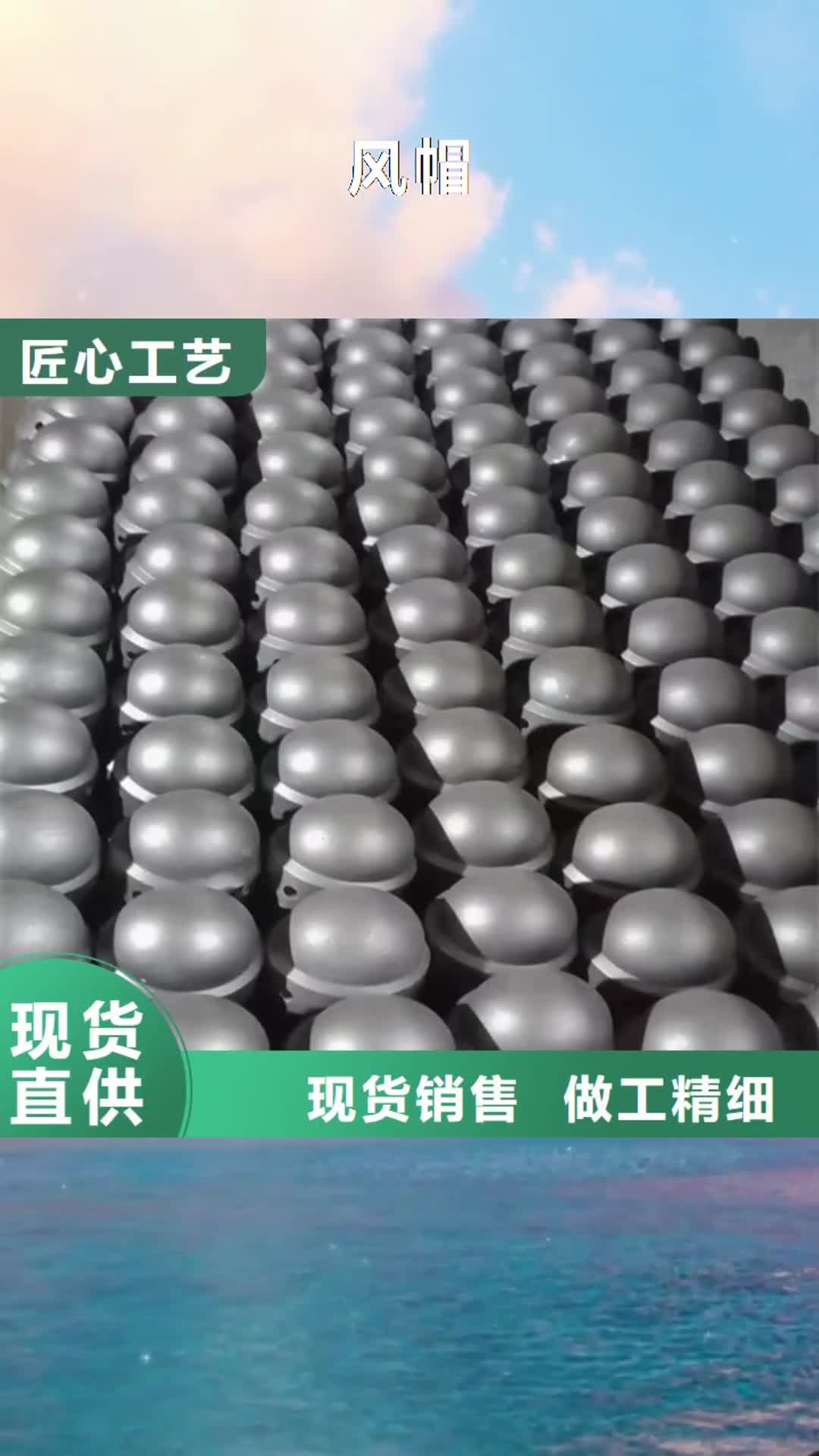 镇江风帽 【锅炉配件】拥有多家成功案例