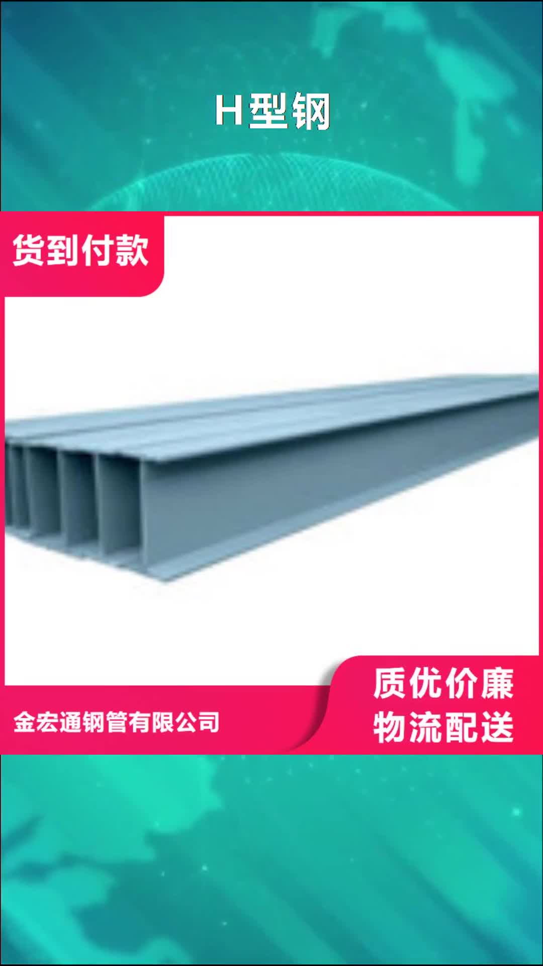 攀枝花 H型钢实力优品