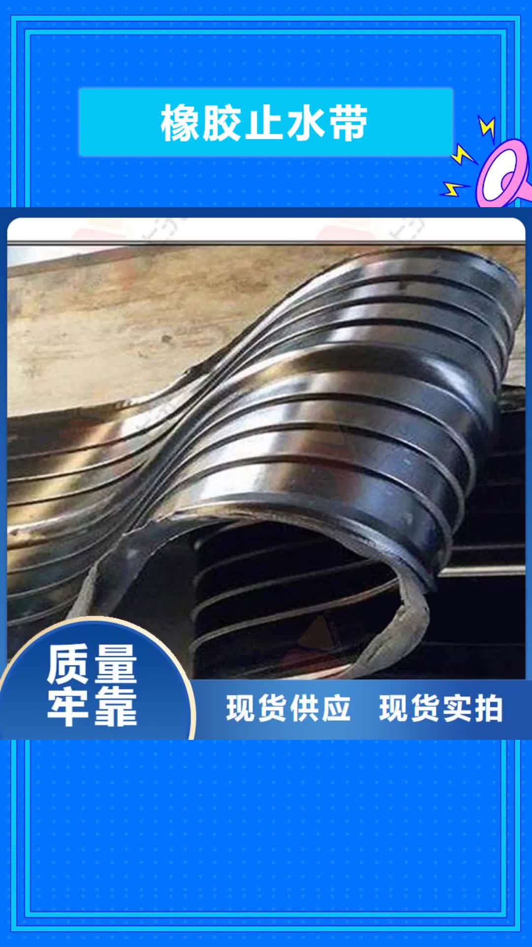 【九江 橡胶止水带_成品支座设备齐全支持定制】