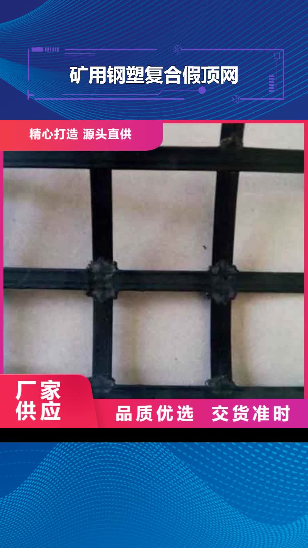 潍坊【矿用钢塑复合假顶网】蜂巢格室产品细节