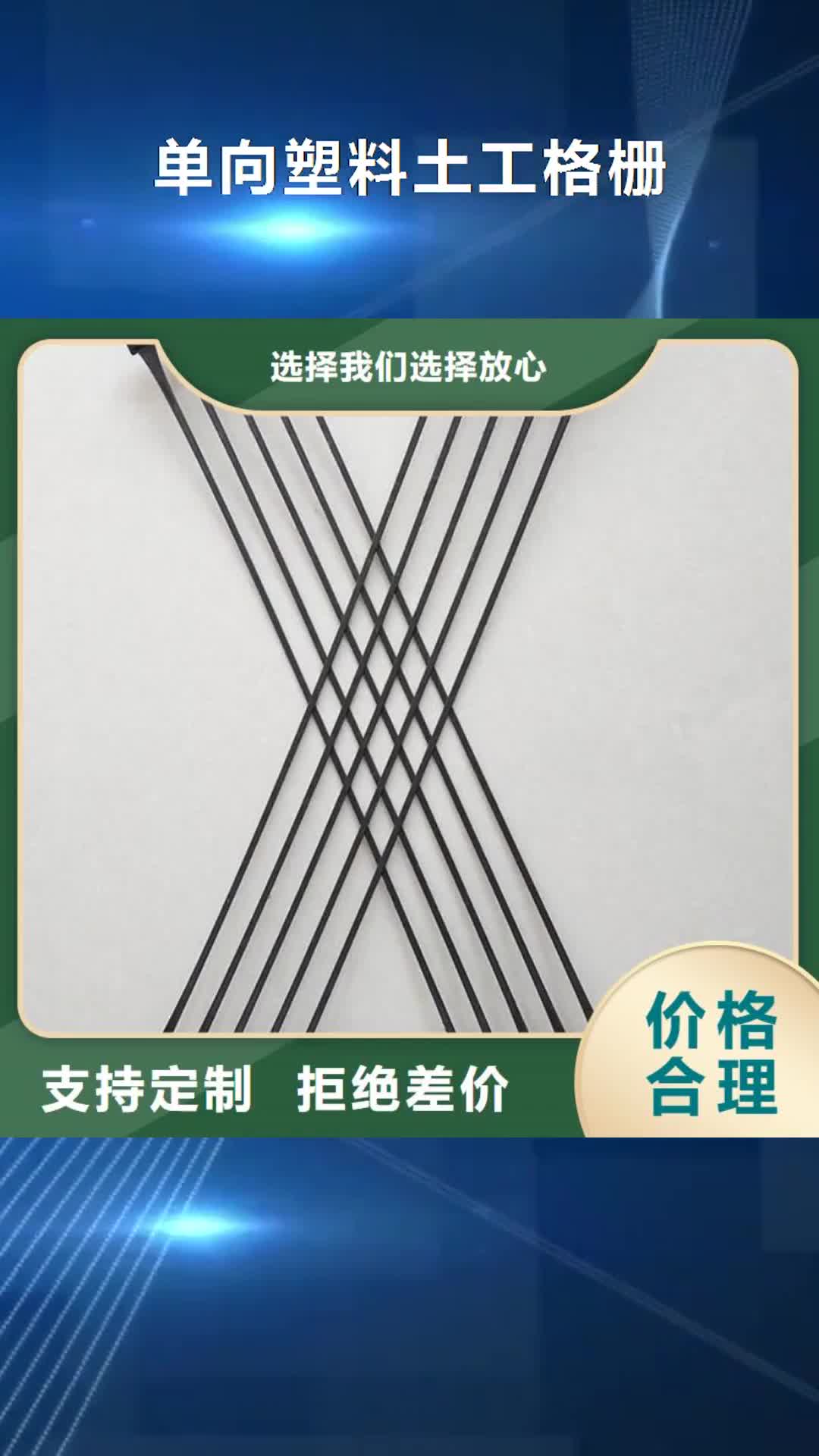 永州 单向塑料土工格栅【三维植被网】使用寿命长久