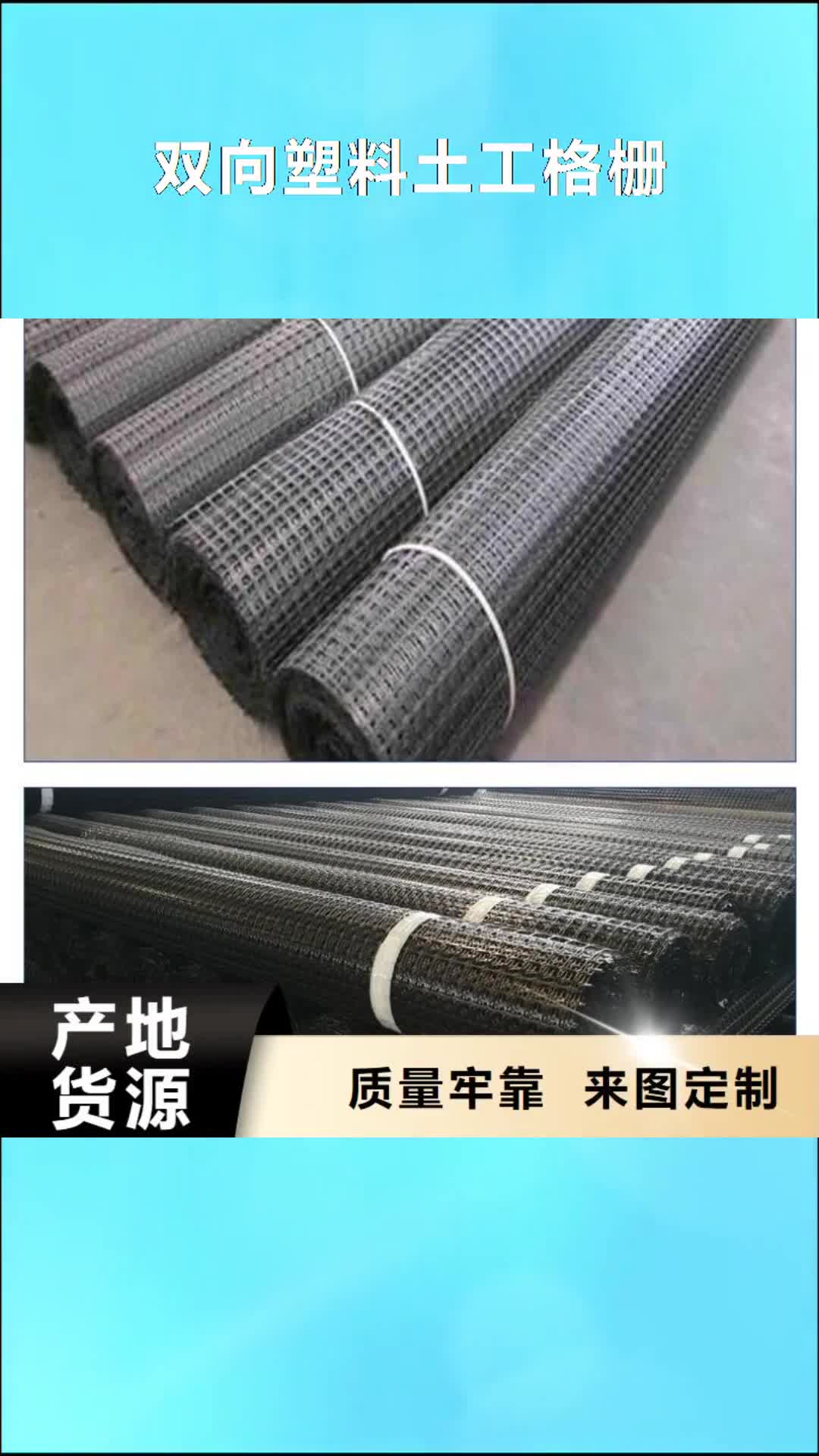 【菏泽 双向塑料土工格栅,HDPE土工膜厂家直销】