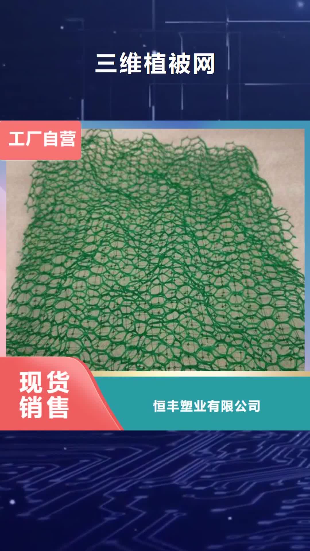 承德【三维植被网】,塑料盲沟让客户买的放心