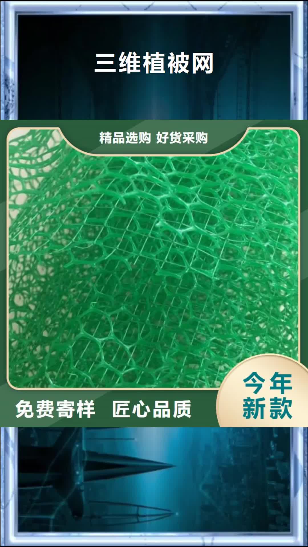 【南通 三维植被网-双向拉伸塑料格栅生产经验丰富】