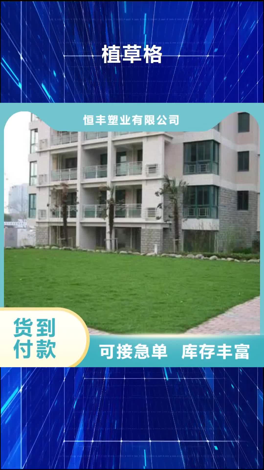 【常州 植草格PP焊接土工格栅多年实力厂家】