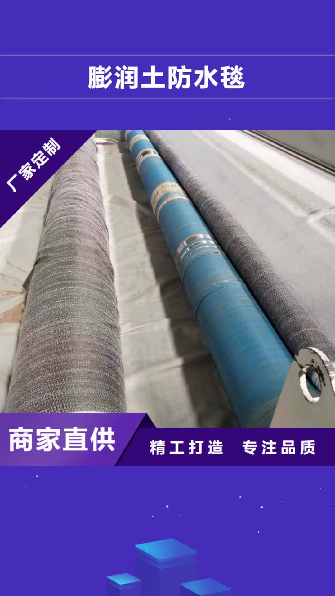 【济宁 膨润土防水毯塑料土工格栅以质量求生存】