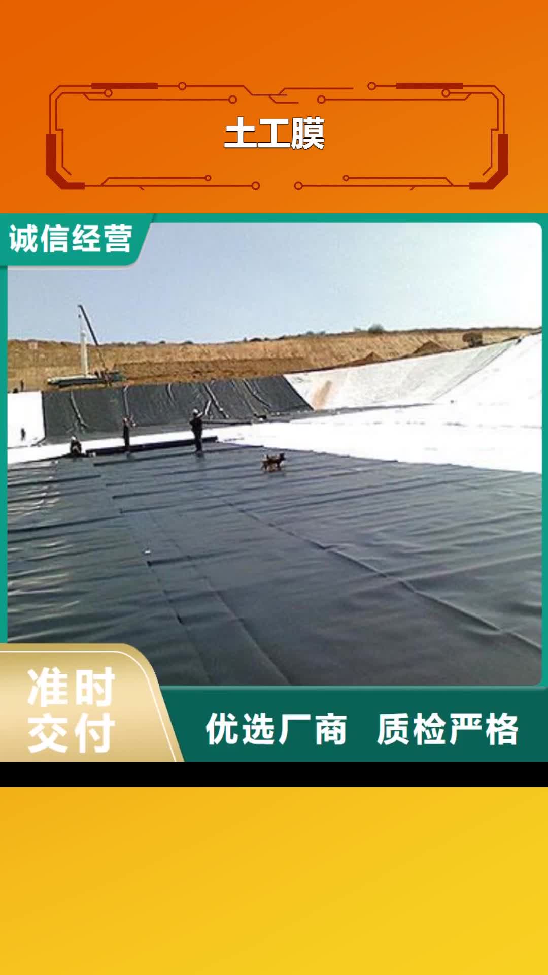 汉中 土工膜_【膨润土防水毯】专业生产N年