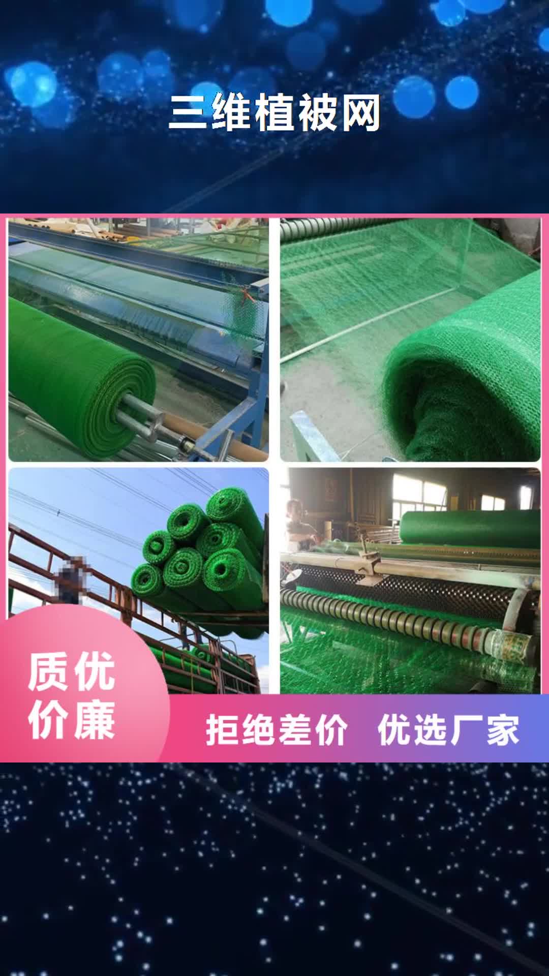 【包头 三维植被网,反滤土工布诚信经营质量保证】