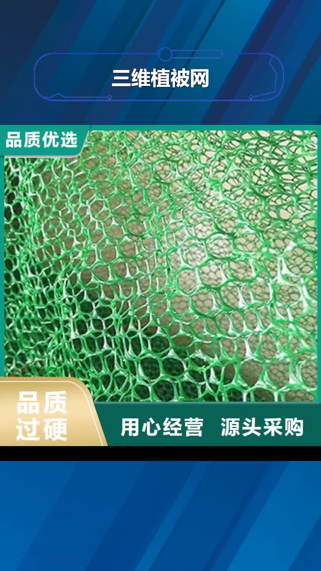 商丘 三维植被网-【反滤土工布】诚信经营现货现发