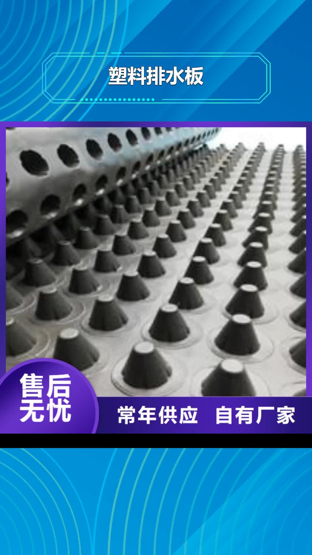 【德州 塑料排水板_钢塑土工格栅精品优选】
