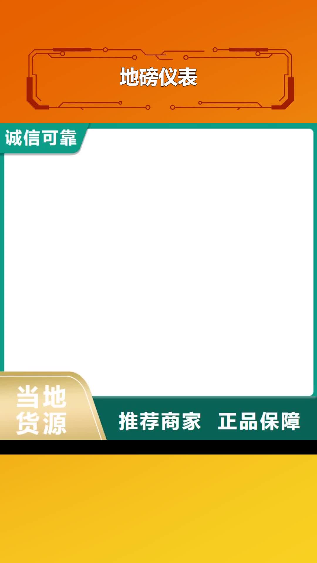 【湛江 地磅仪表_铲车秤厂家质量过硬】