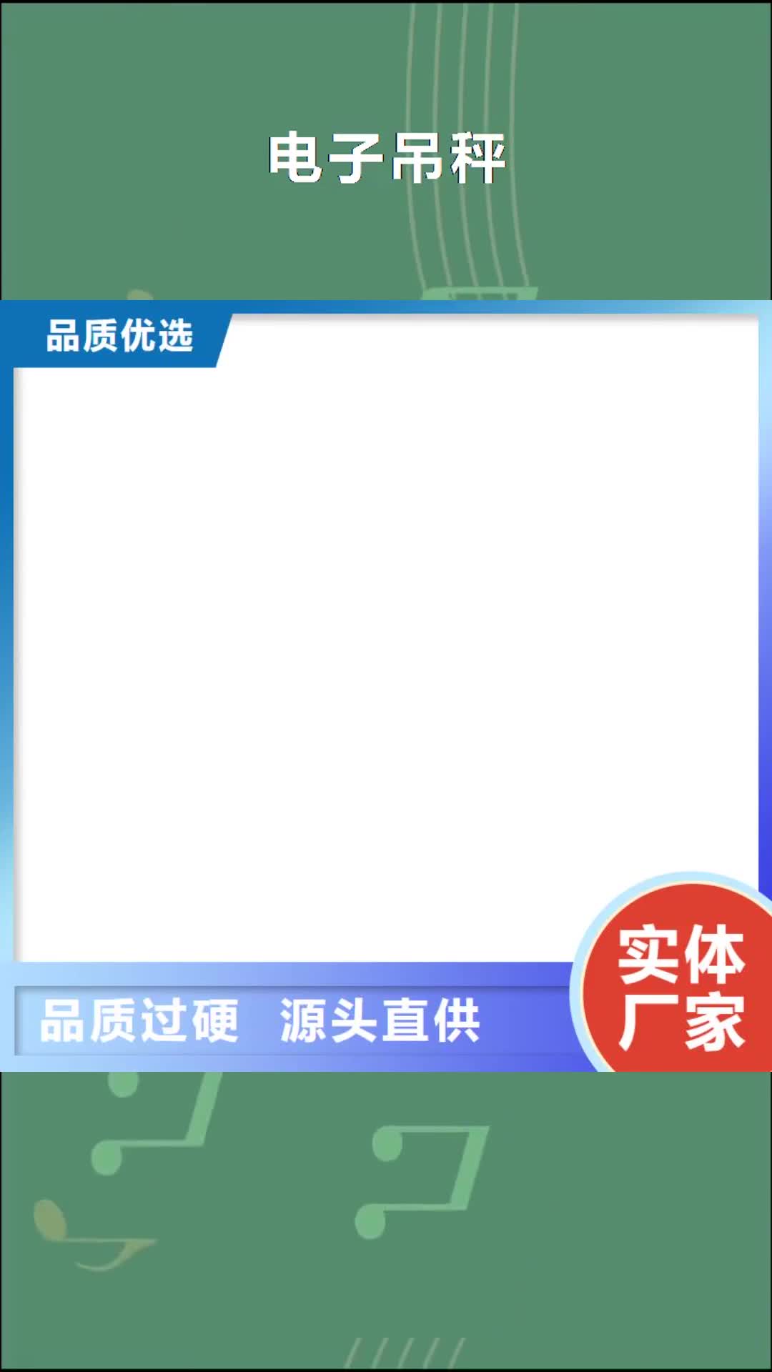 杭州【电子吊秤】,地磅维修一站式采购商家