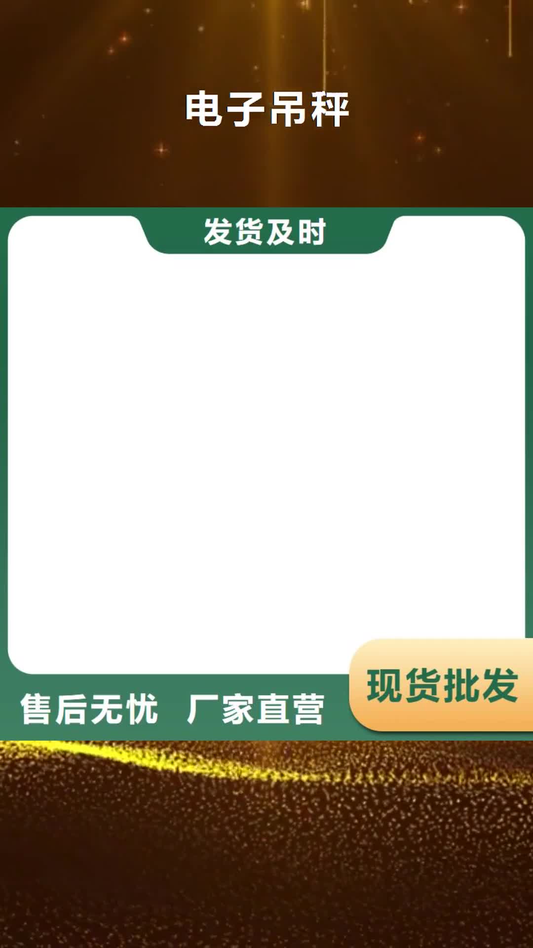 德阳 电子吊秤 【电子吊磅】规格齐全实力厂家