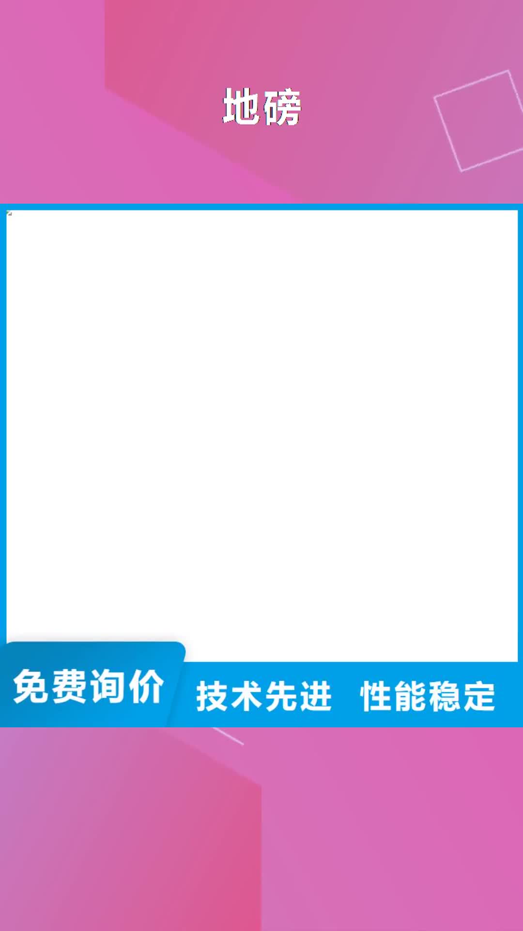 佛山【地磅】 地磅维修48小时发货