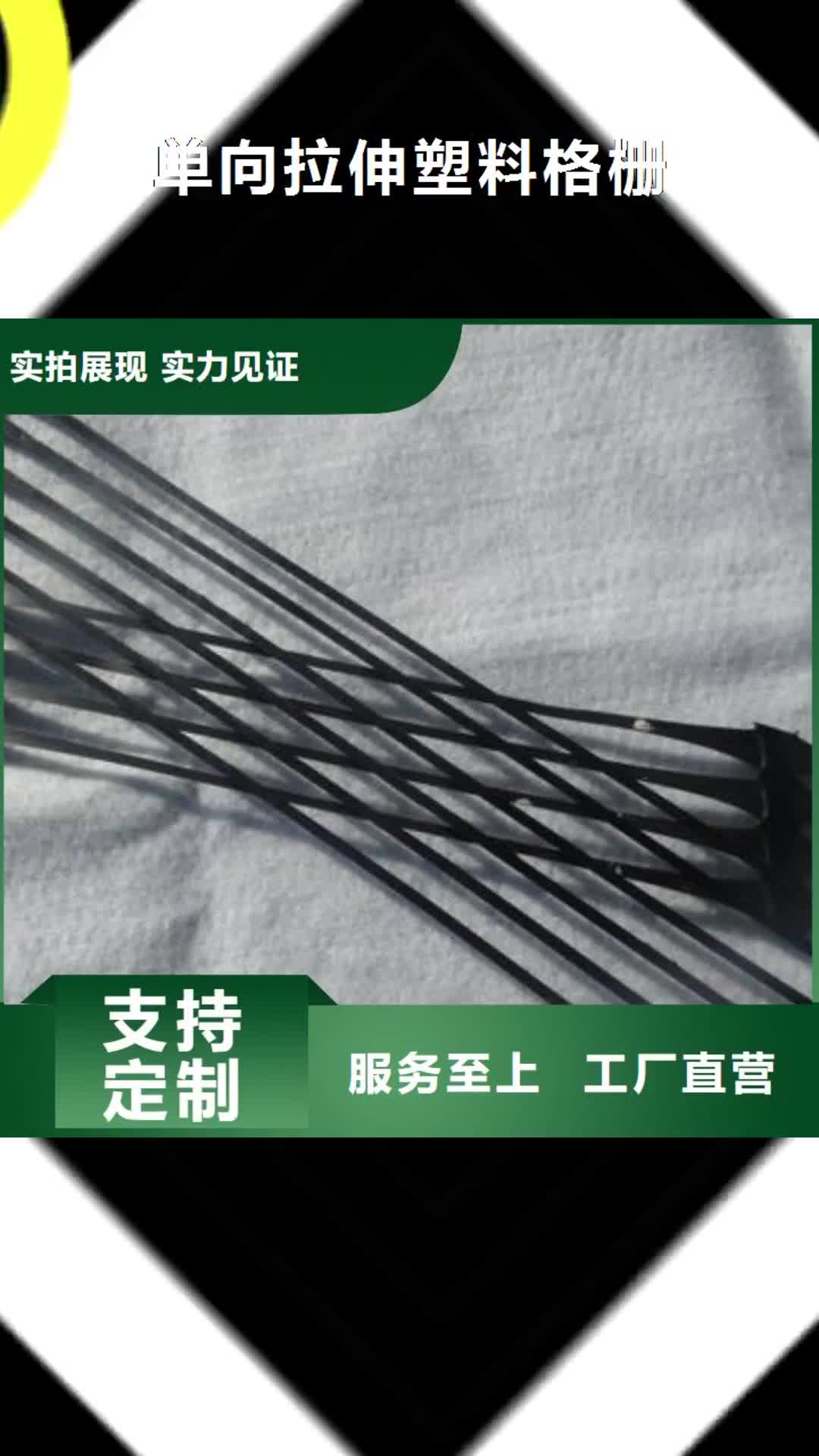 六盘水 单向拉伸塑料格栅【短丝土工布】现货供应