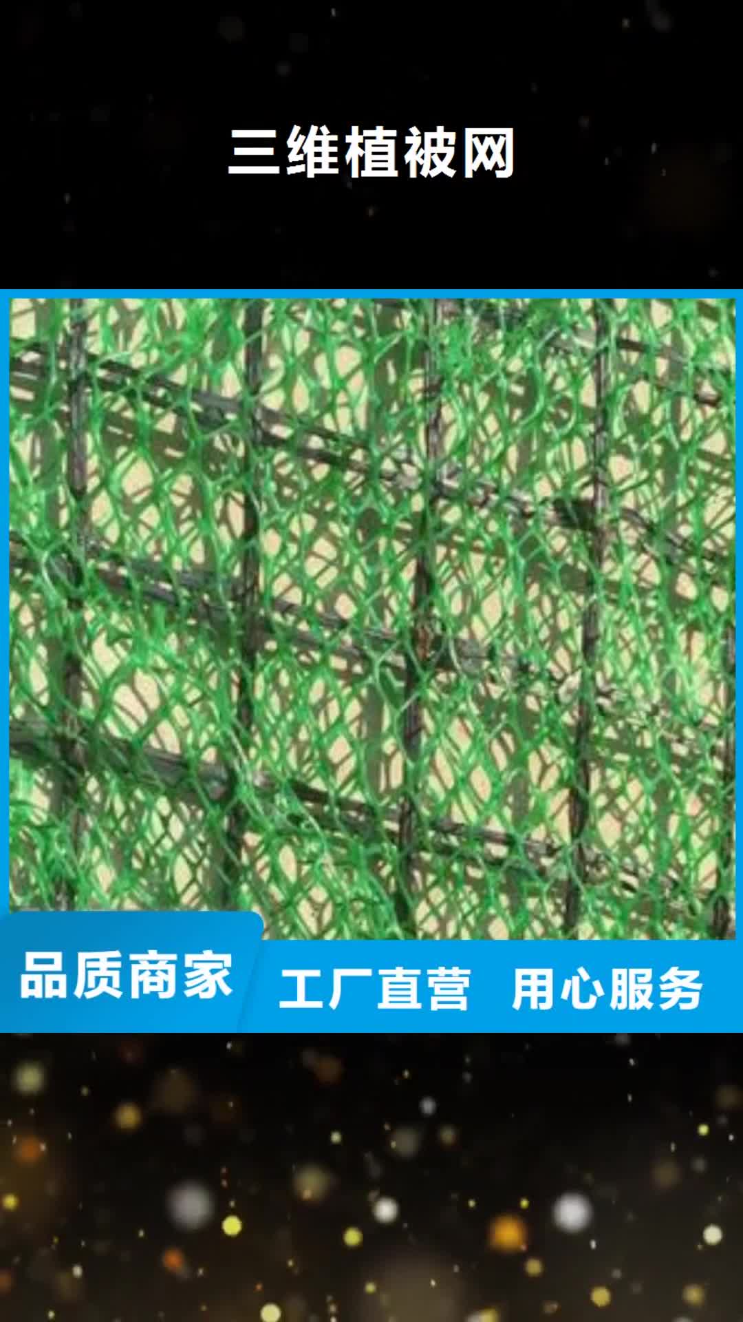 常德【三维植被网】_软式透水管质保一年