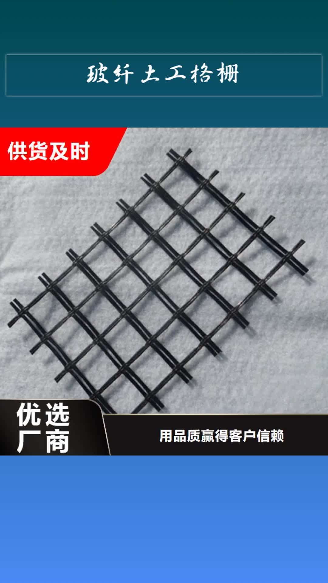 【铜仁 玻纤土工格栅_长丝土工布工厂直供】