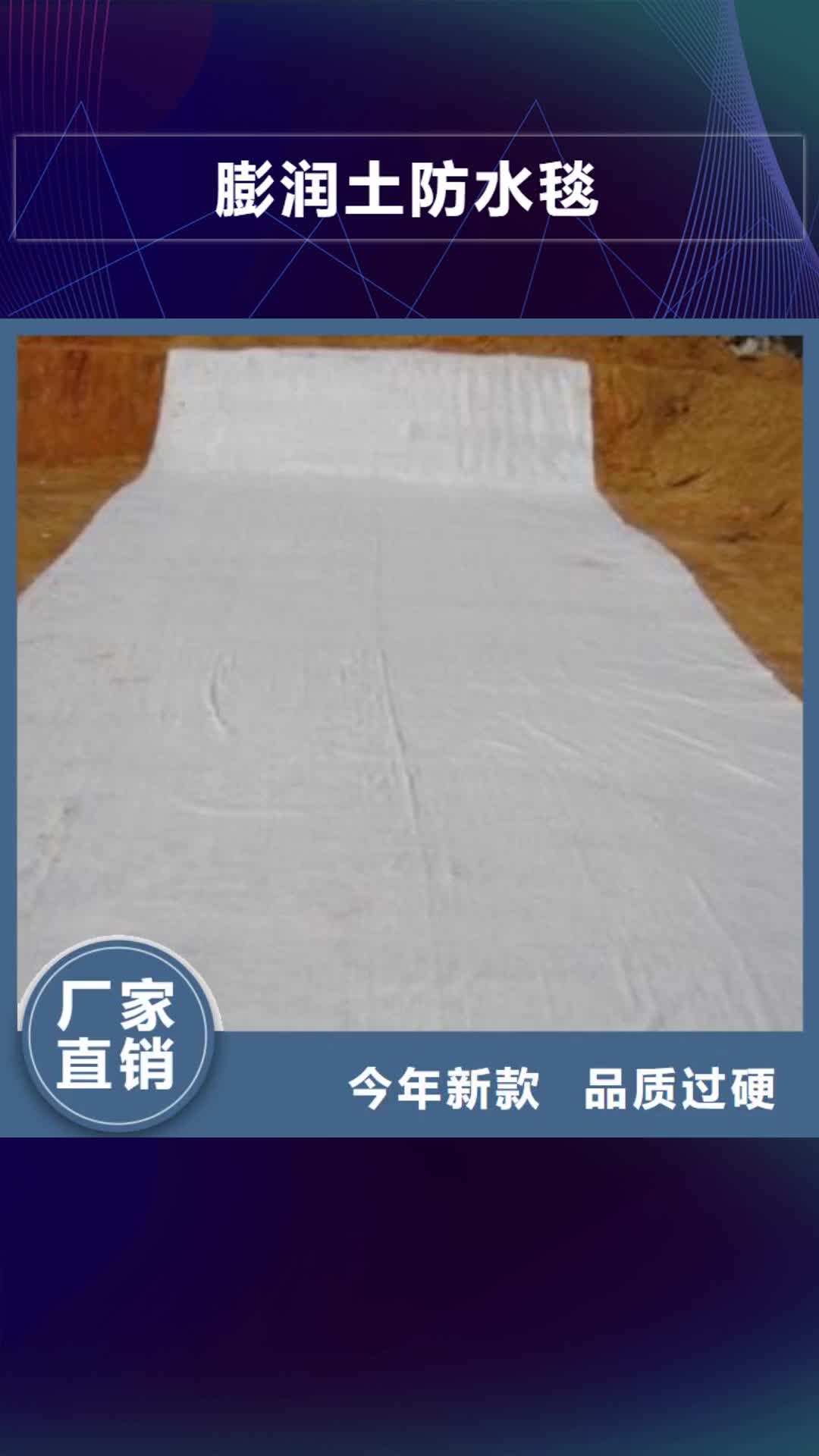 【驻马店 膨润土防水毯,双向拉伸土工格栅厂家直发】