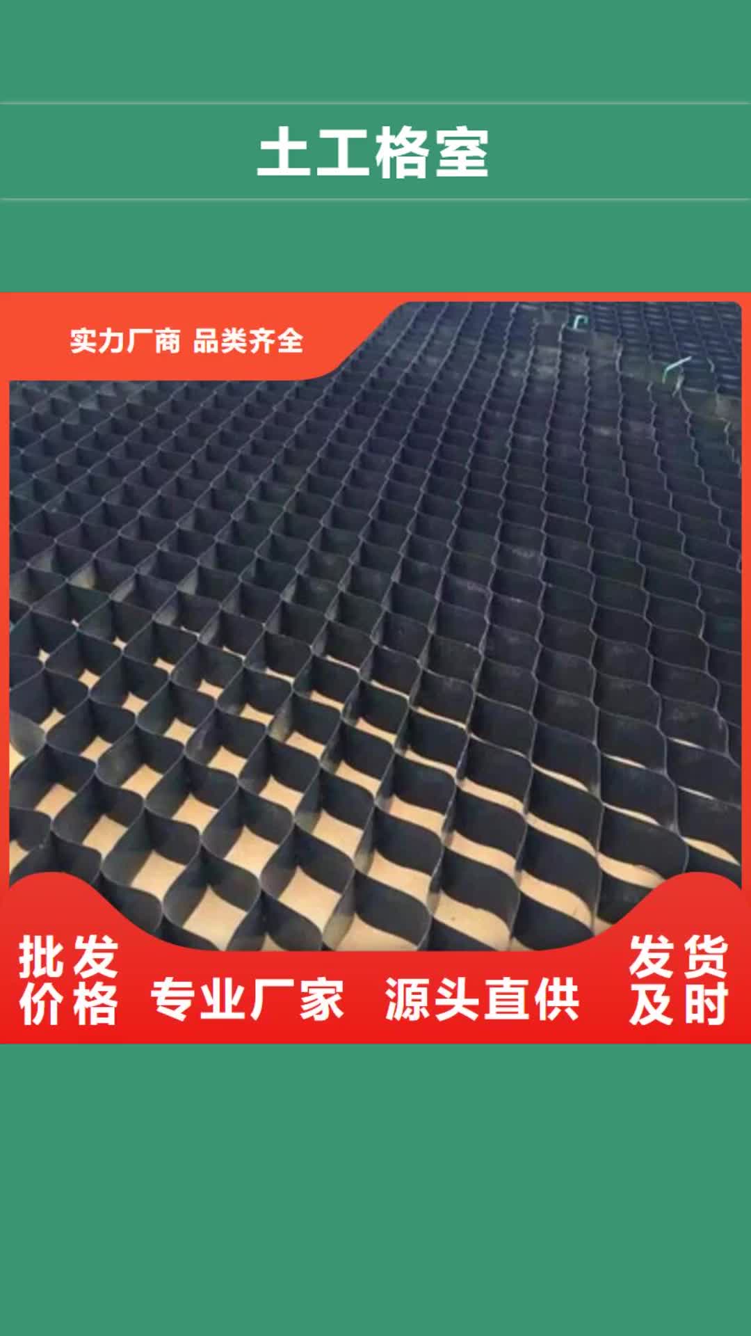 德阳【土工格室】_三维植被网精心