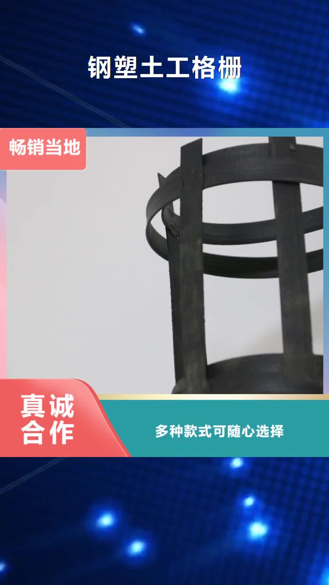 昌都 钢塑土工格栅 【三维水土保护毯】多种场景适用