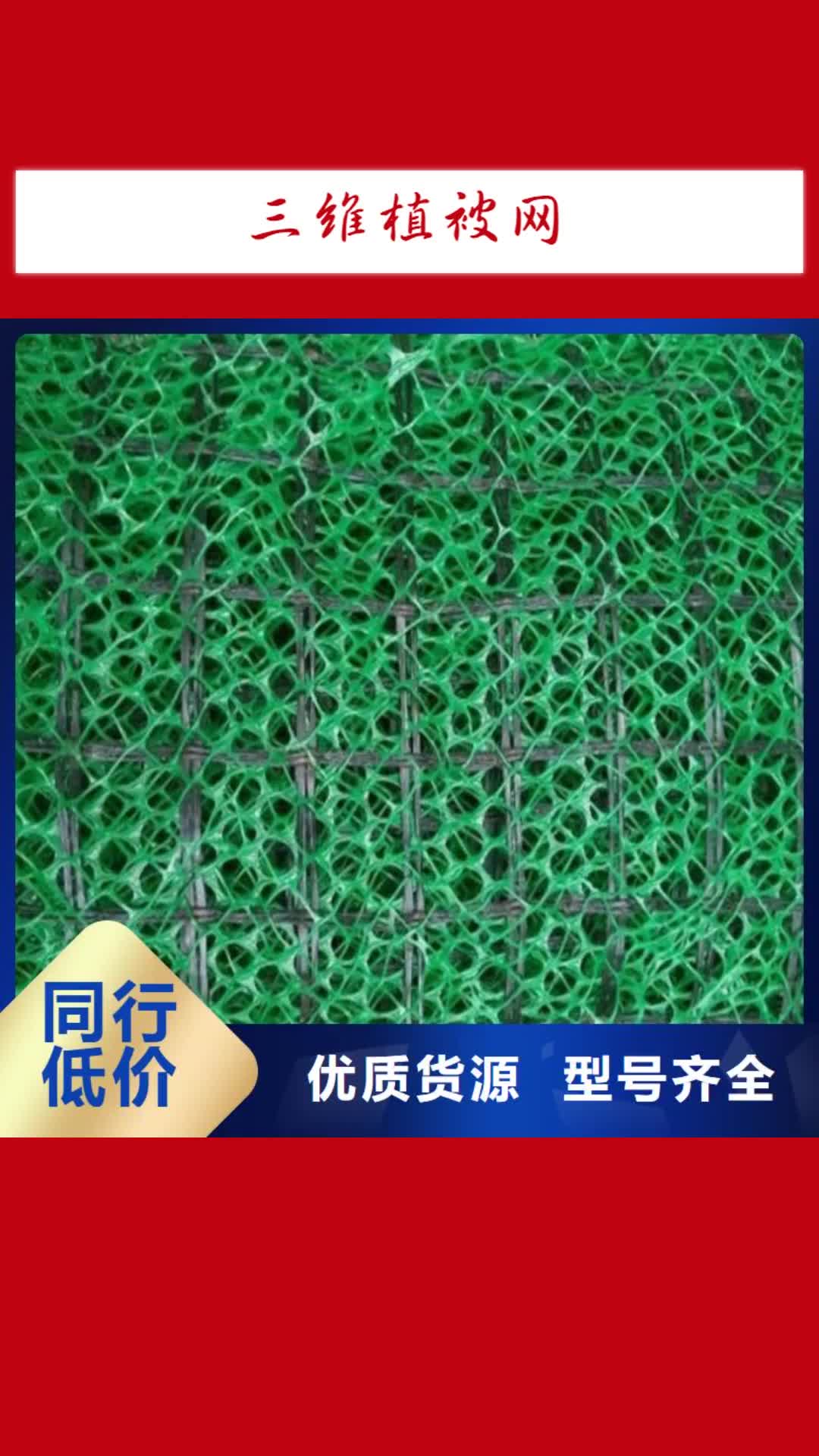 台州【三维植被网】_钢塑土工格栅厂家源头厂商