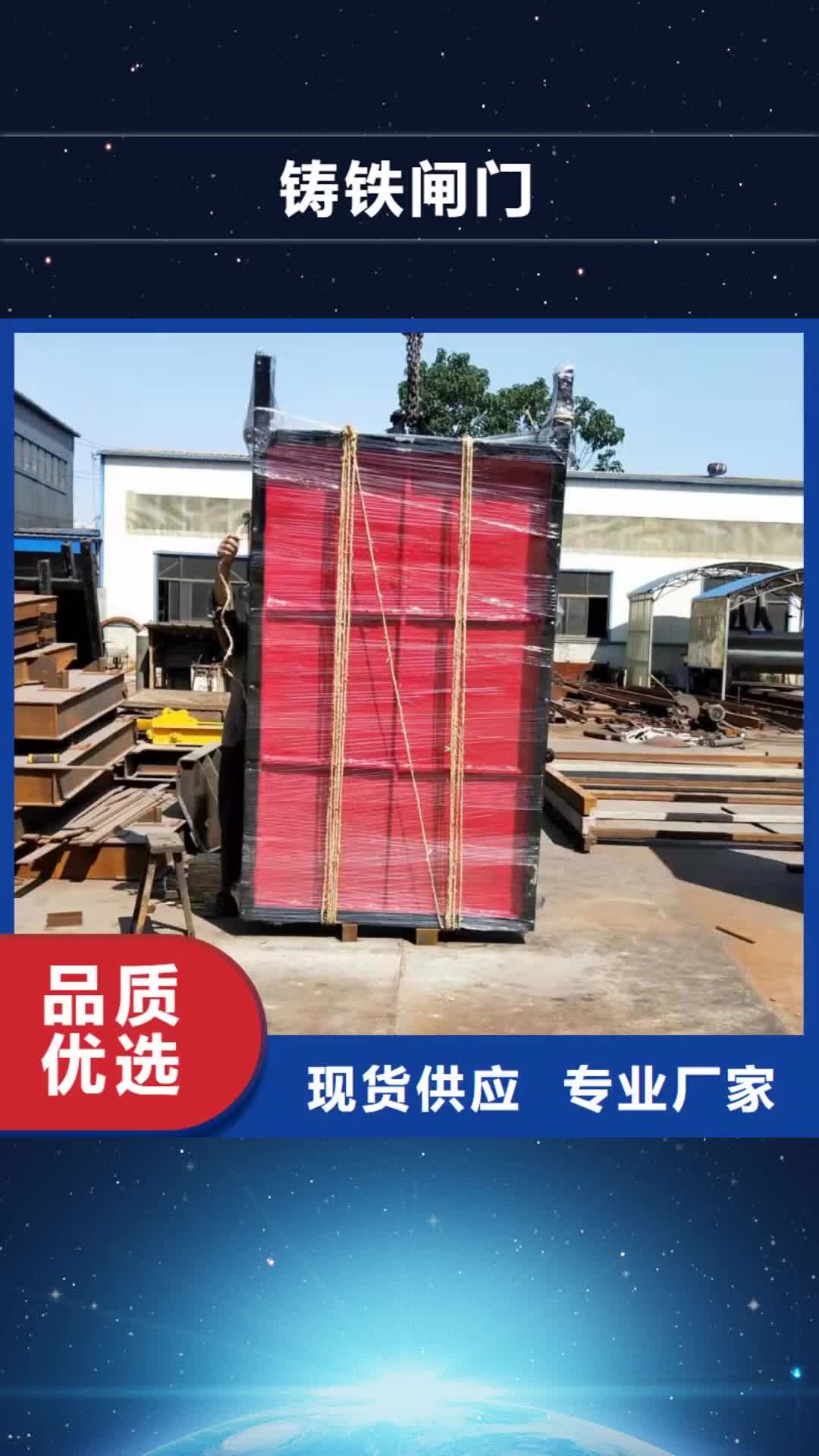 江门铸铁闸门螺杆启闭机用心服务