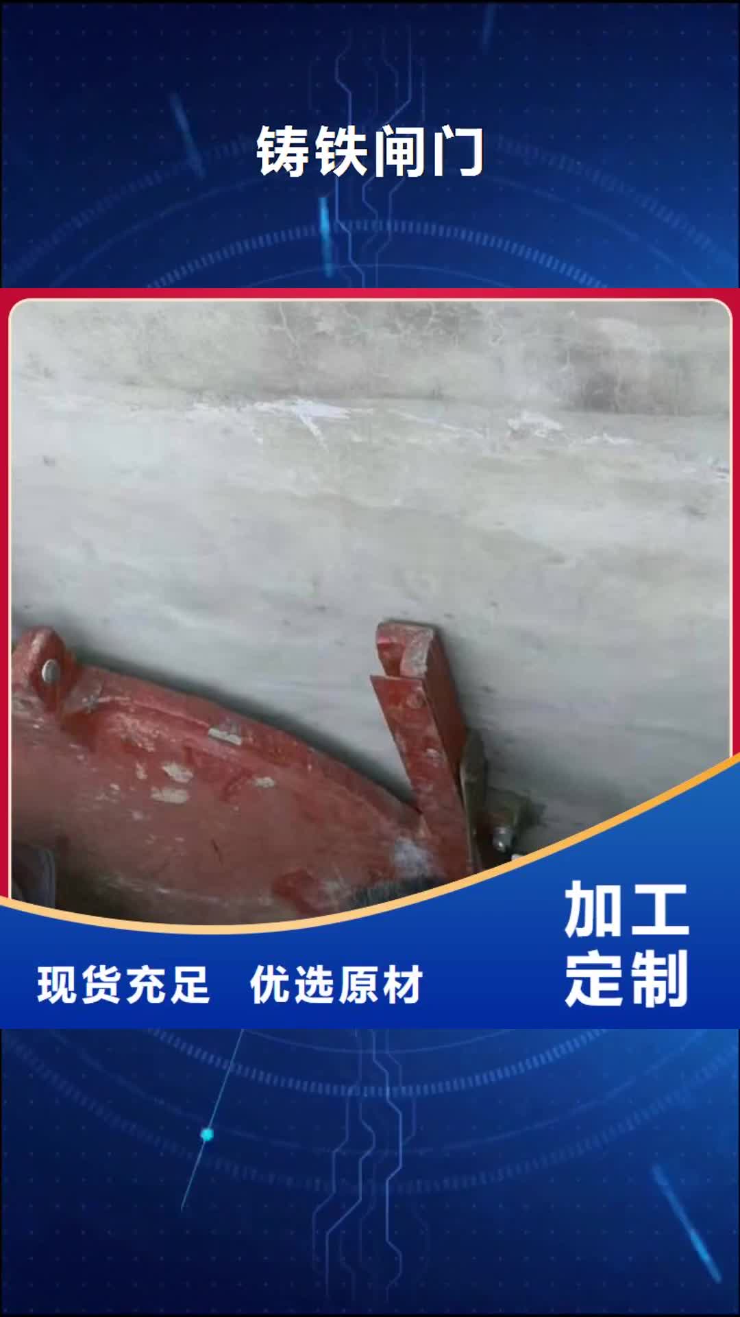 广东【铸铁闸门】 河道清污机讲信誉保质量