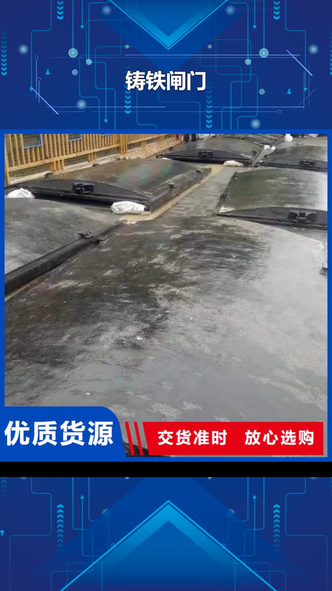 【宝鸡 铸铁闸门拍门厂家全新升级品质保障】