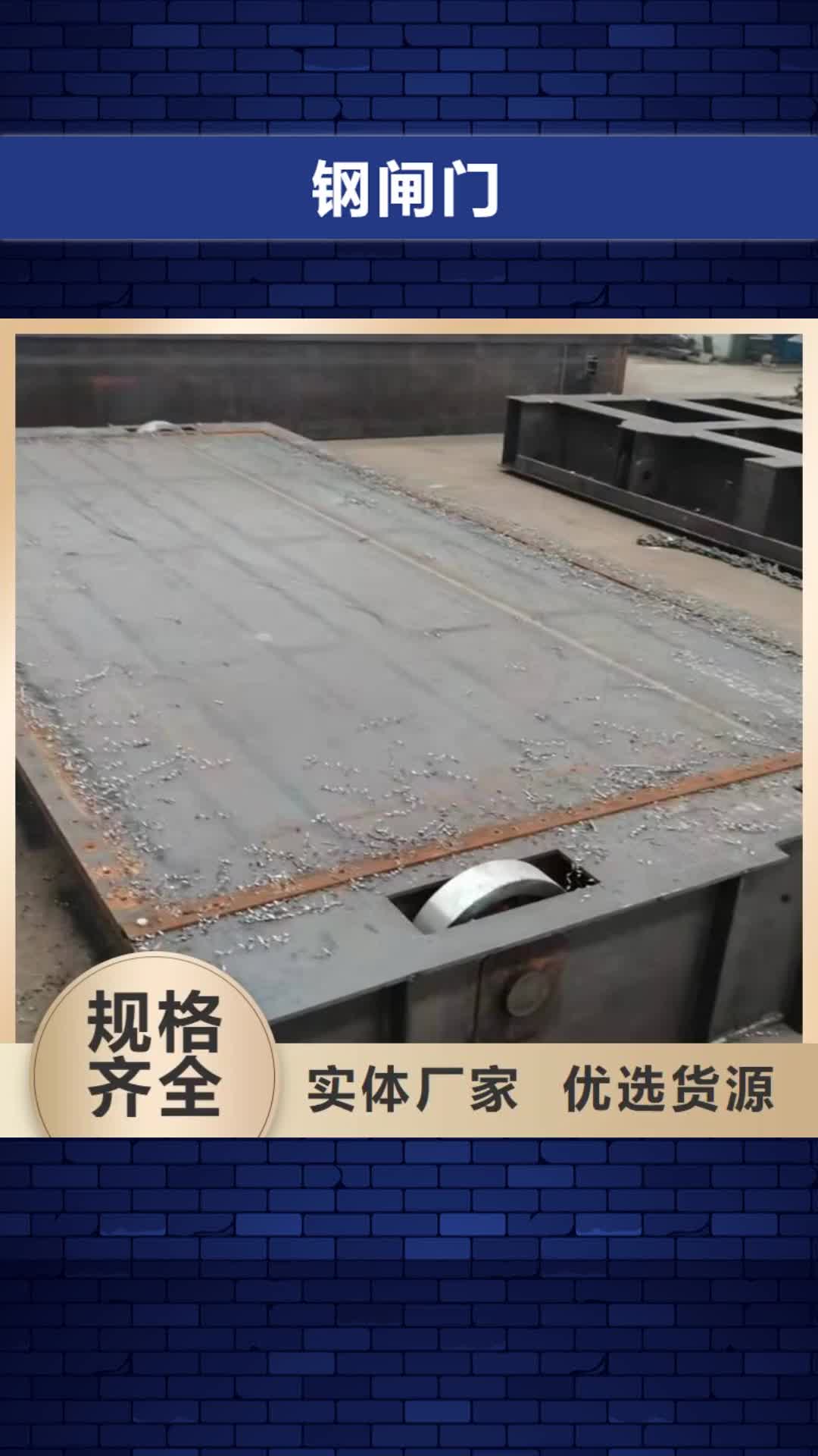 【泰州 钢闸门-卷扬启闭机多年行业经验】