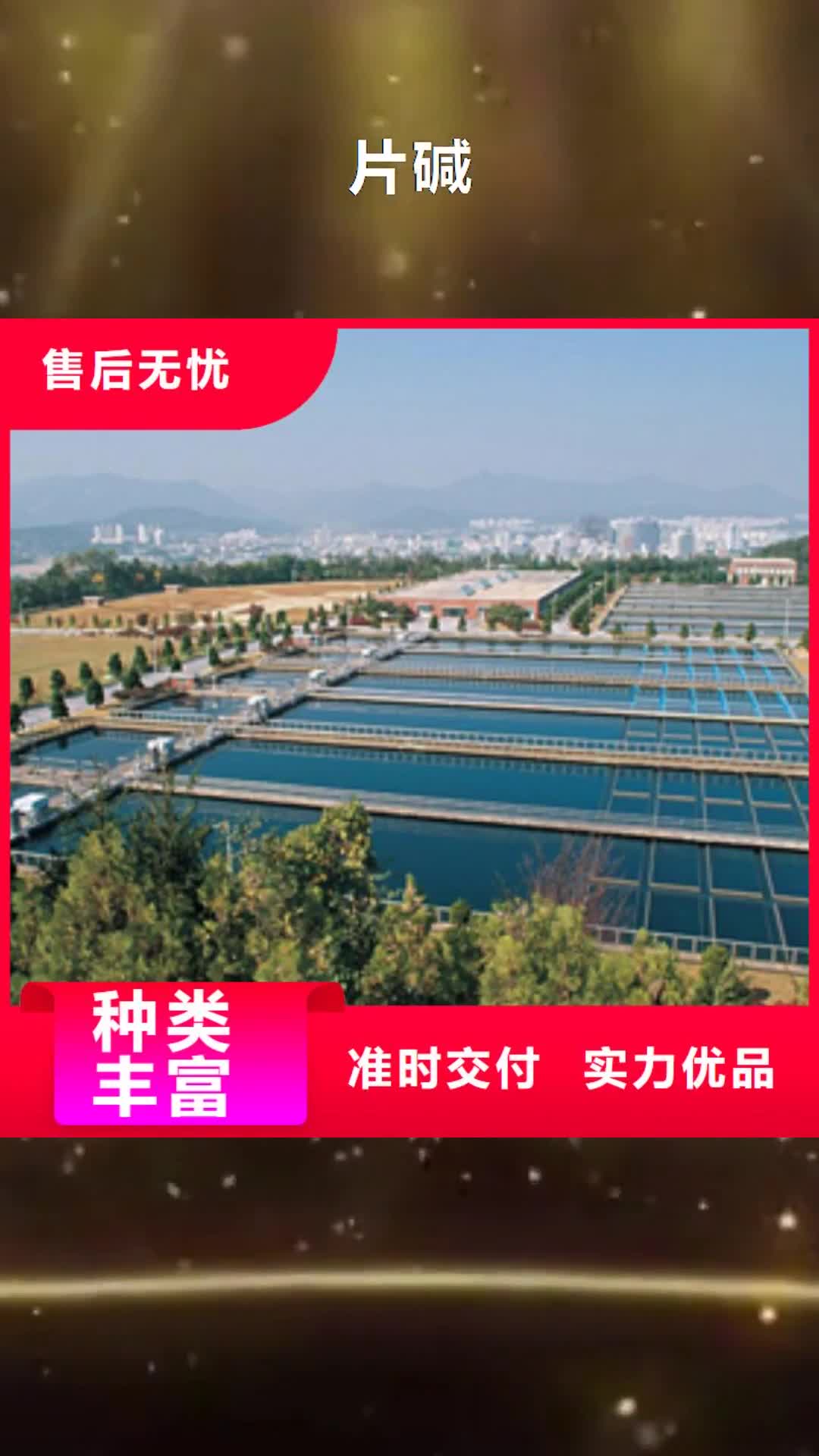 【岳阳 片碱聚合氯化铝每个细节都严格把关】
