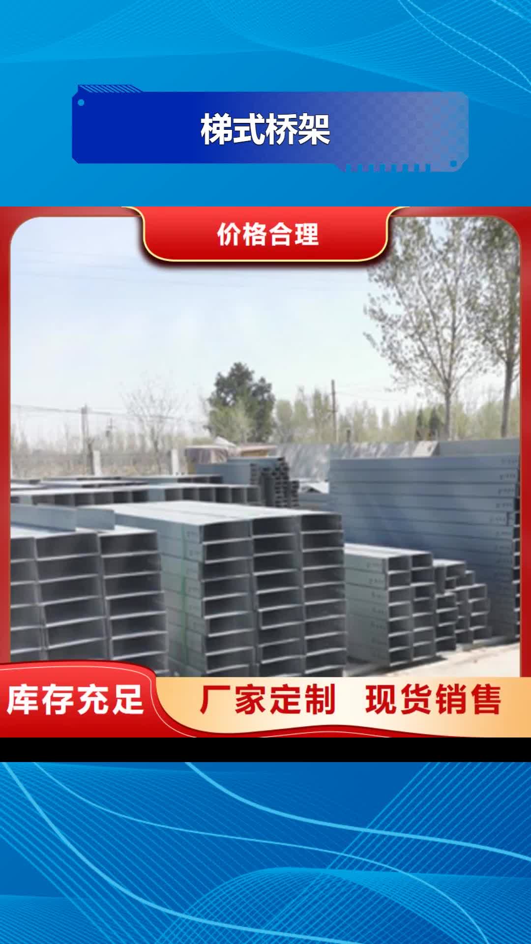 山南 梯式桥架-【梯式直通桥架厂家】厂家实力雄厚
