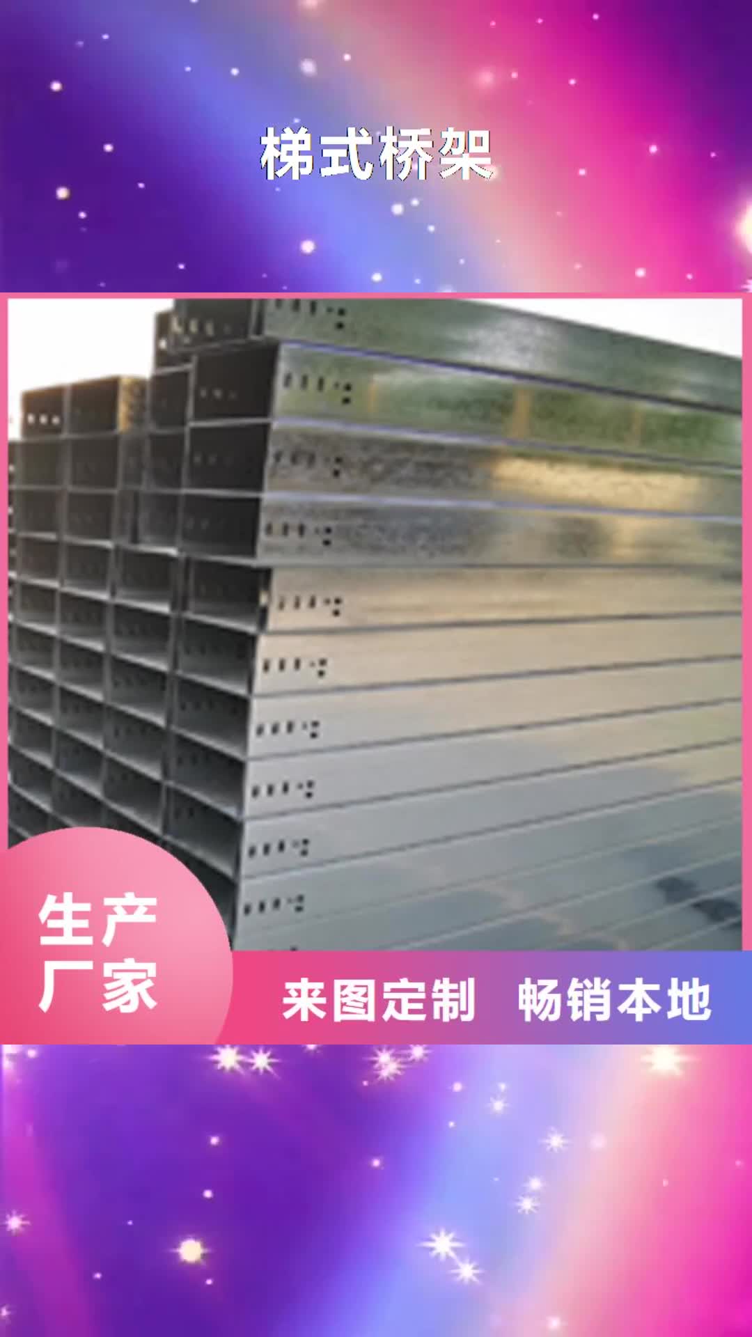 【莆田 梯式桥架,梯式大跨距桥架厂家保障产品质量】