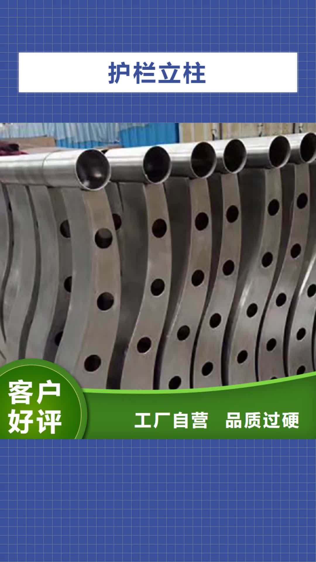 林芝 护栏立柱_【灯光护栏】实地大厂