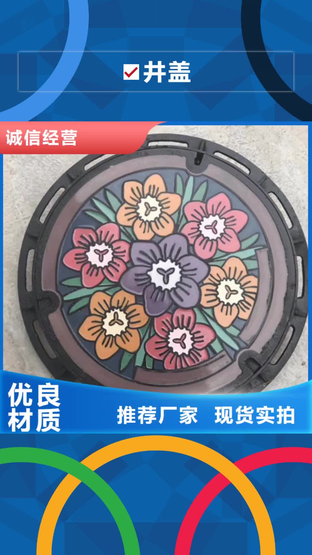 娄底【井盖】-球墨铸铁篦子高标准高品质