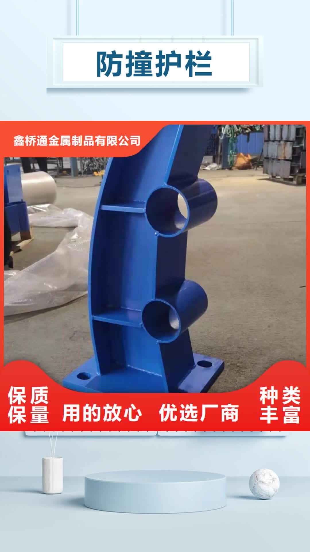 镇江【防撞护栏】 镀锌管喷塑护栏质保一年